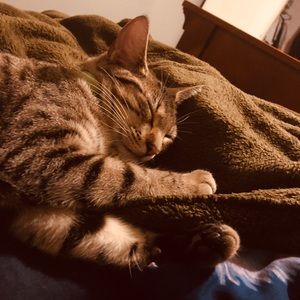 Meet your Posher, Alese